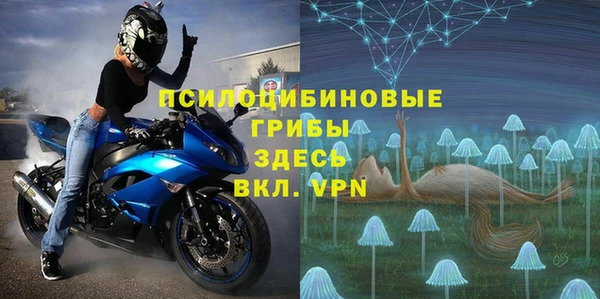 прущий лед Белокуриха